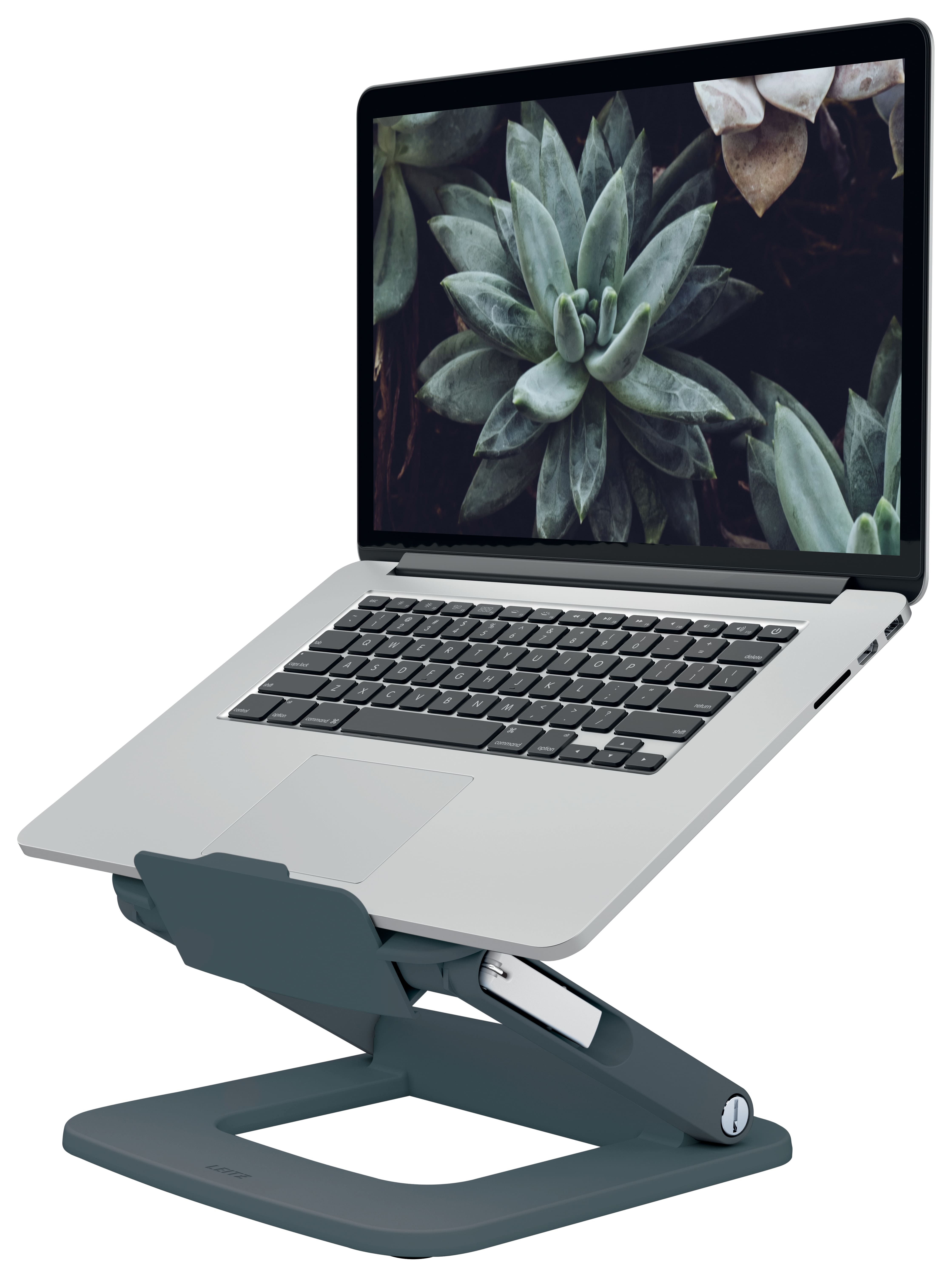 vectordirect
