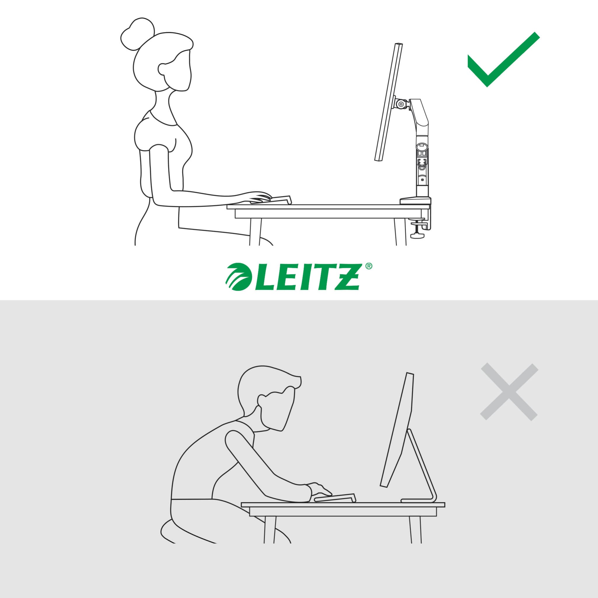 vector