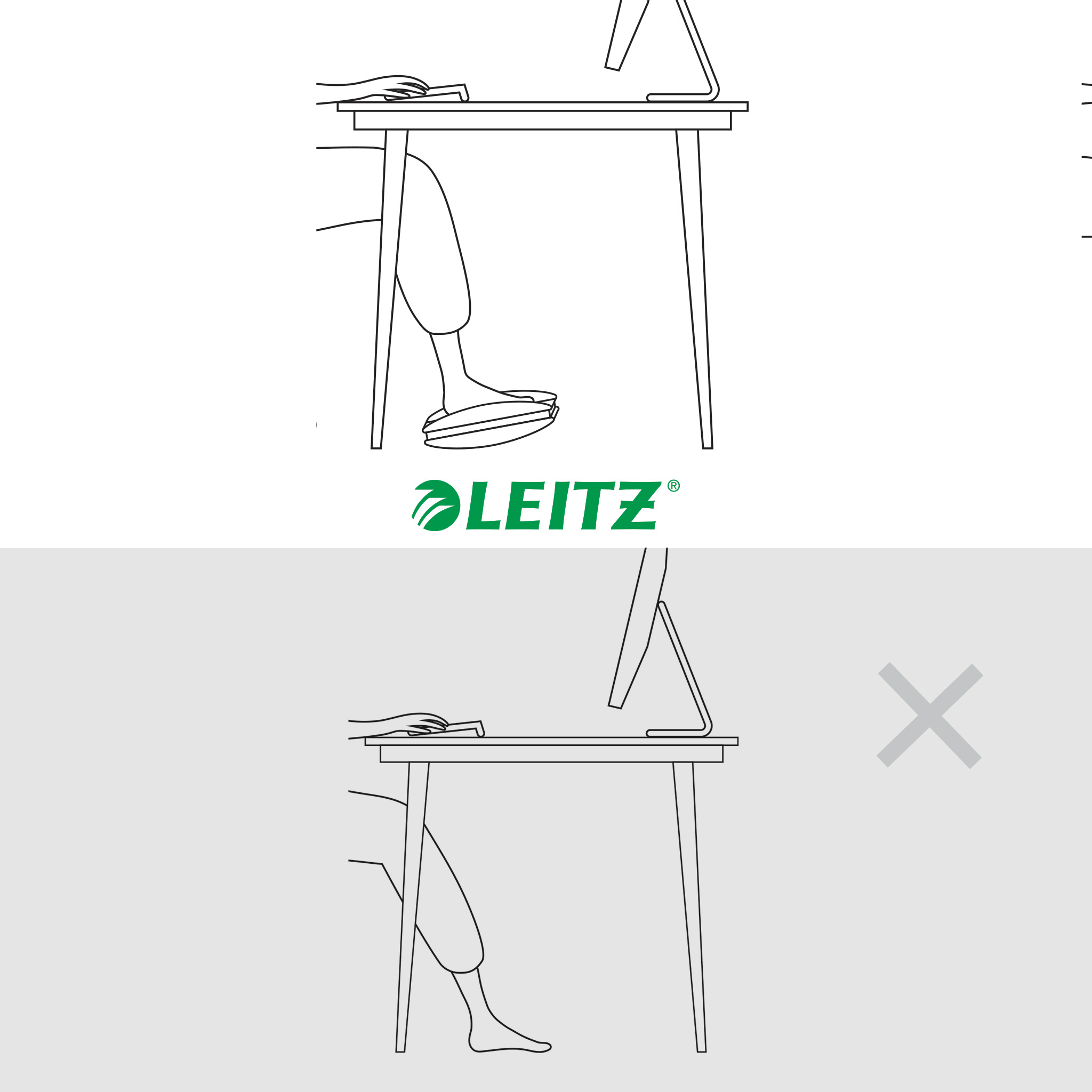 gutuie